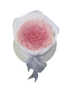 Ombre Rose Bouquet 粉玫瑰花束