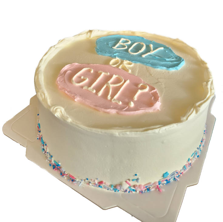 Simple Gender Reveal Cake 宝宝性别揭晓蛋糕