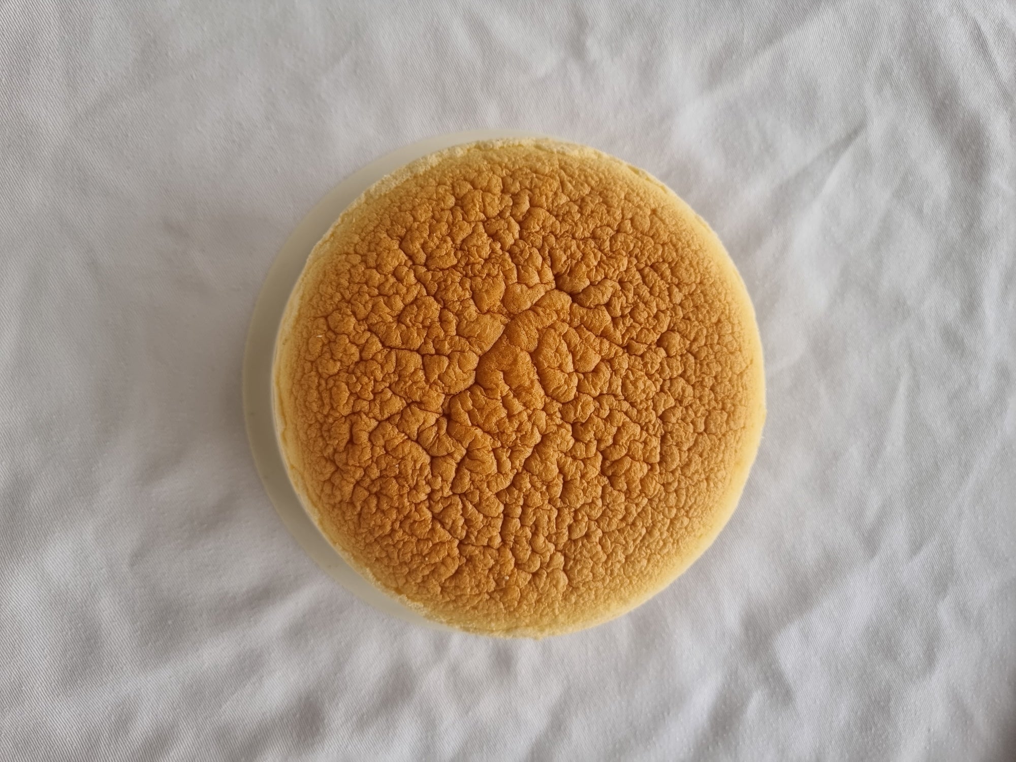 Light Cheese Cake Round 轻乳酪蛋糕（圆）